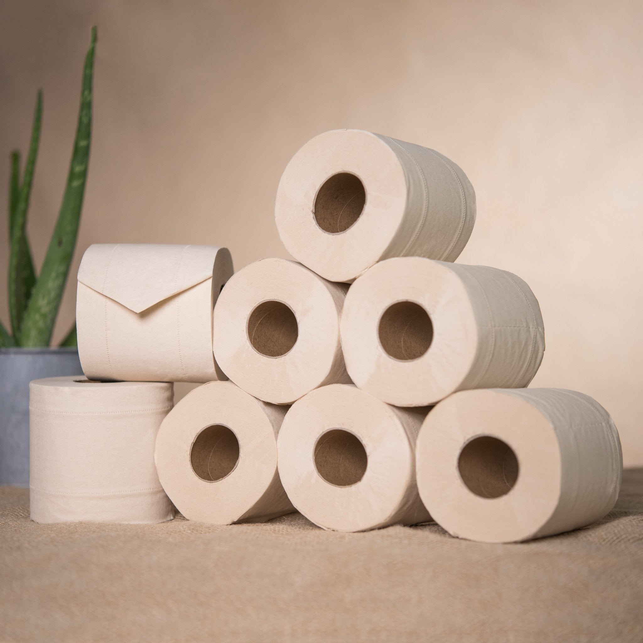 Smooth Panda -Klassik Bambus-Toilettenpapier (LOSE / ohne Prägung / 8 Rollen à 200 Blatt) - Smooth Panda - Umweltdrogerie