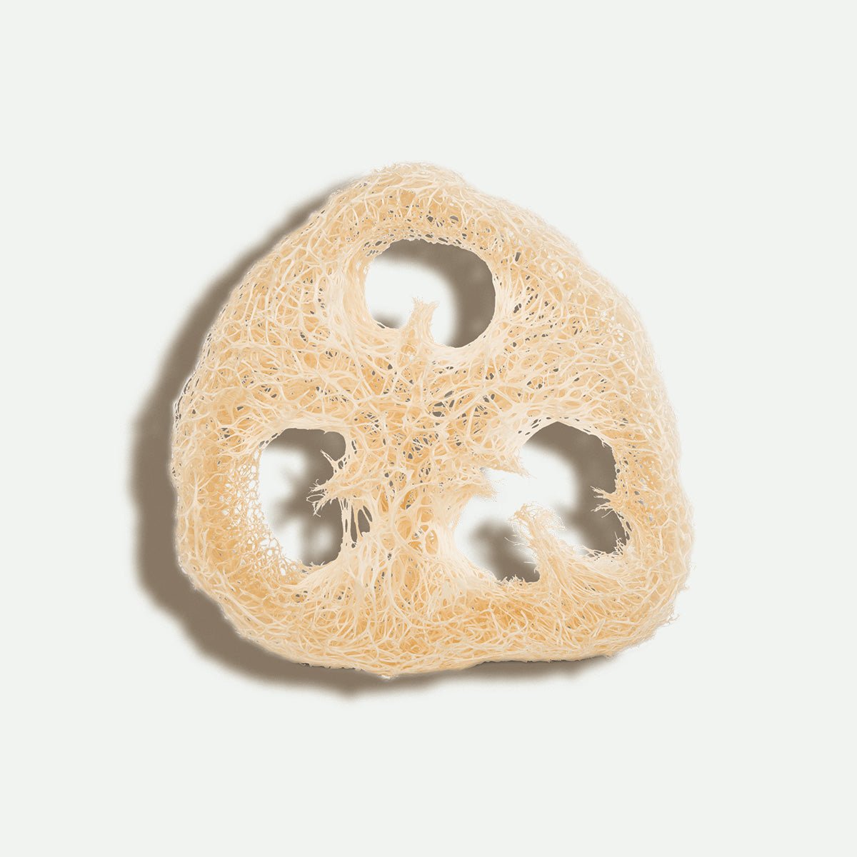Smooth Panda -Seifenunterlage aus Luffa - Smooth Panda - Umweltdrogerie