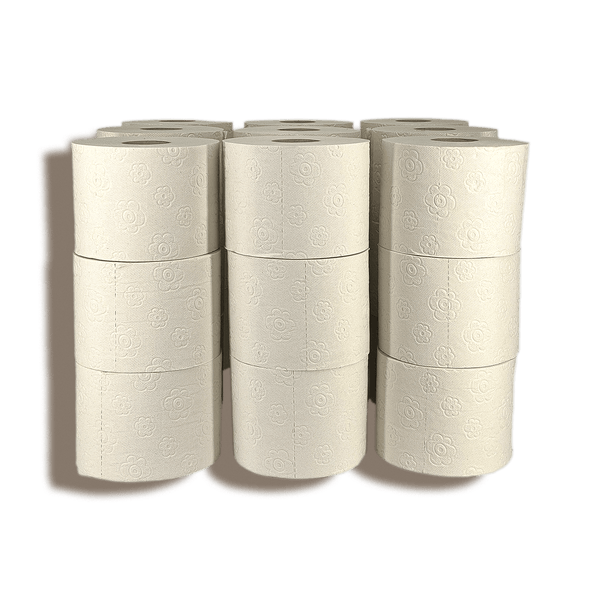 Toilettenpapier Box Recycling (Made in Germany / 27 Rollen à 250 Blatt)